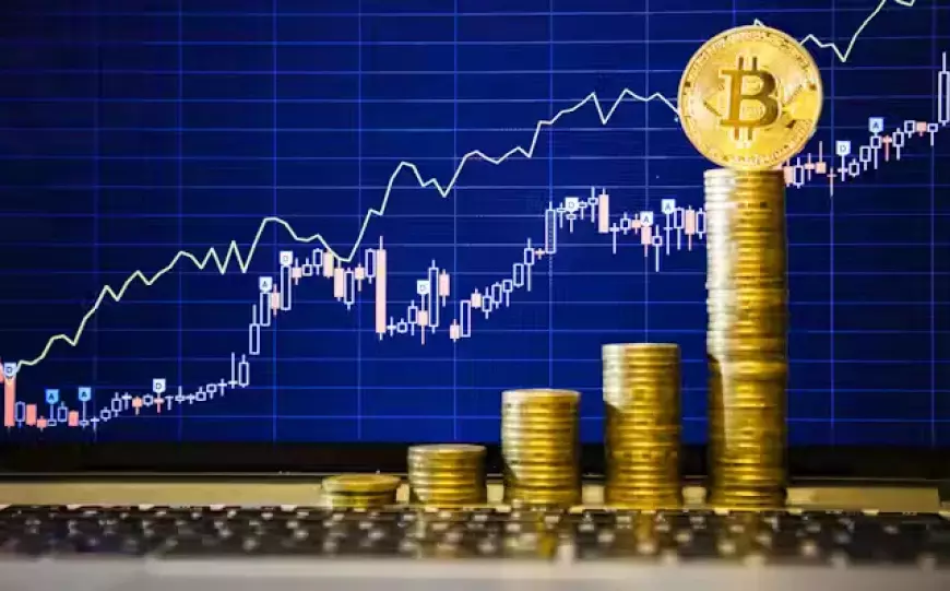 Bitcoin achieves record highs, significant profits for Elon Musk's Tesla and SpaceX