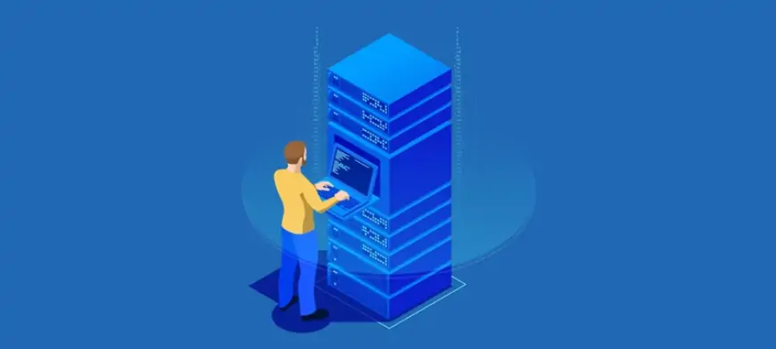 What is Dedicated hosting and how does it differ from other hosting types? Explained by Digimagg