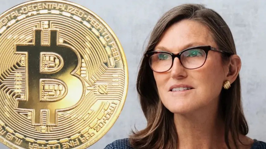 Cathie Wood describes Bitcoin as a 'financial superhighway' and reaffirms her $1.5 million price prediction