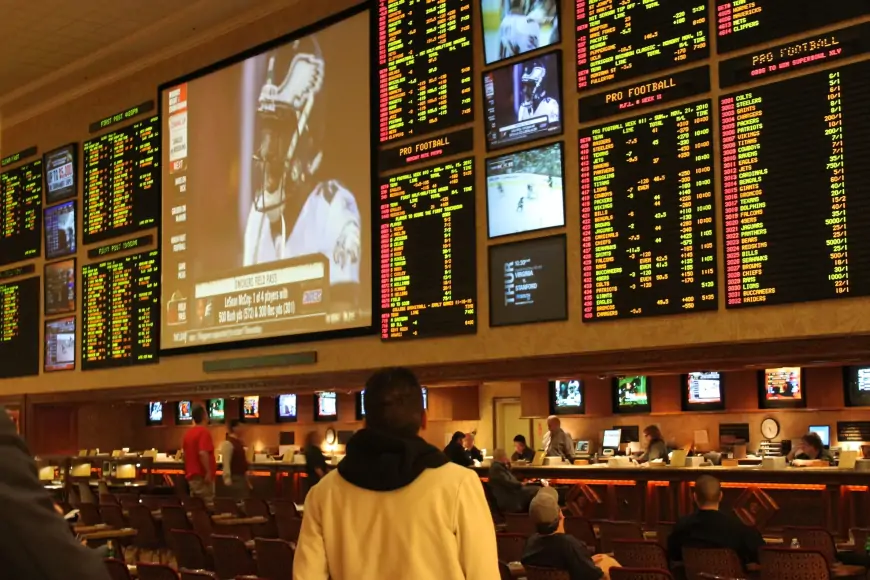 What is a sportsbook? Explained  by Digimagg for beginners