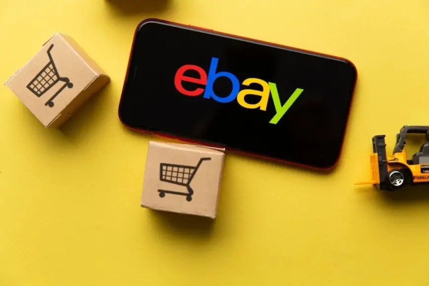 How to Dropship on eBay? Explained for beginners by Digimagg