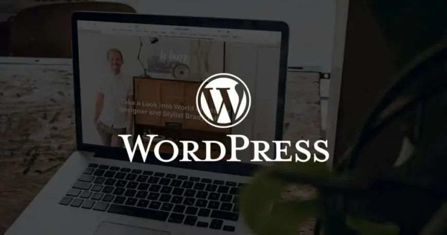 What is WordPress? A complete guide