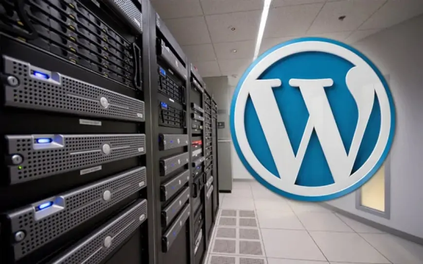 What is WordPress hosting? A comprehensive guide