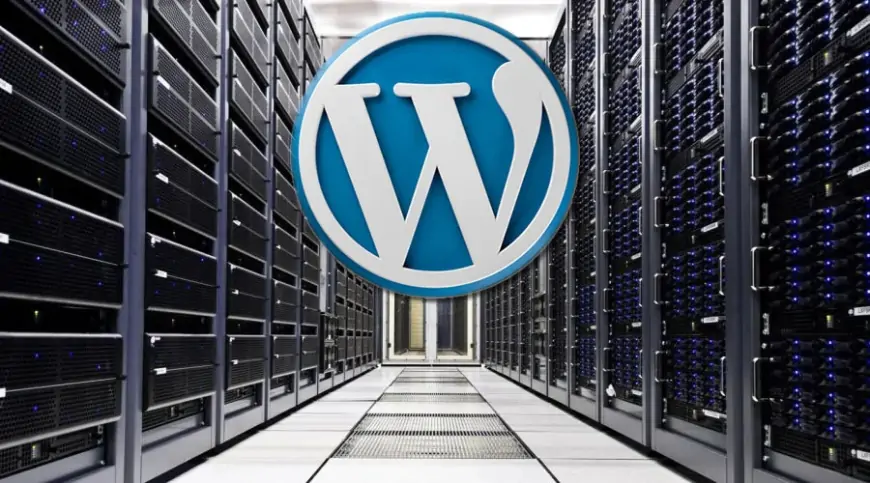 How to choose the best WordPress hosting in 2024? Explained by Digimagg