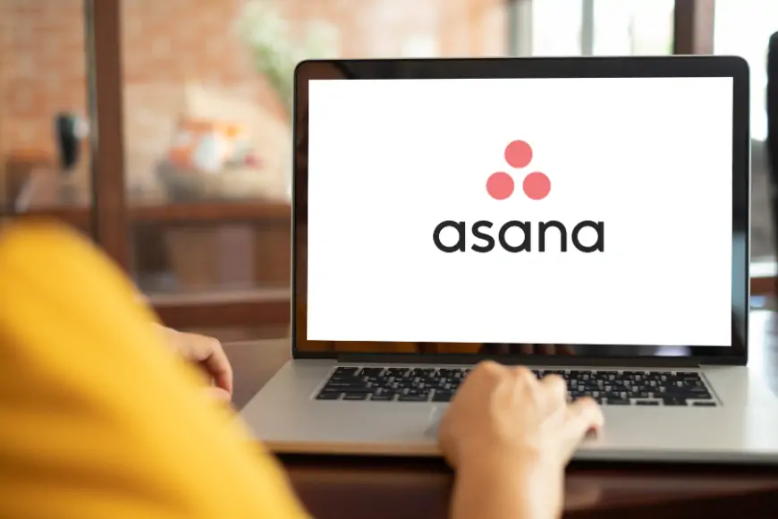 Asana review 2024: Pros and cons, ratings and more