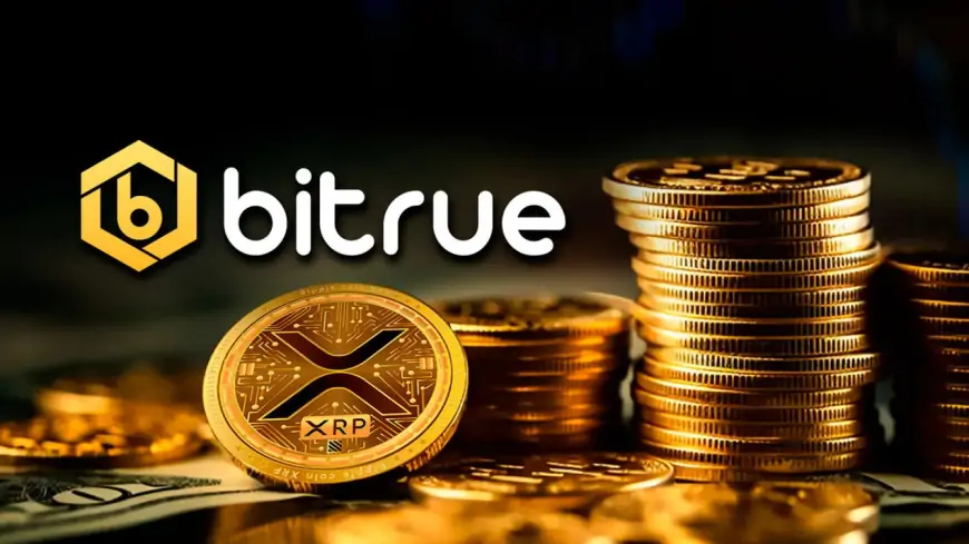 Bitrue review: Explained by Digimagg