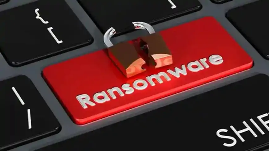 What is ransomware? Definition from Digimagg