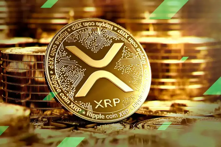 Ripple (XRP) crypto review: Complete guide in 2024