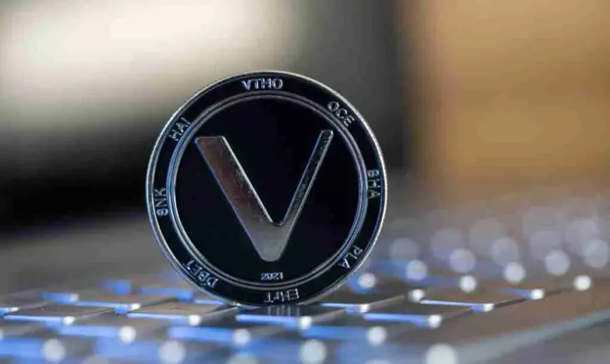 What is VeChain (VET) and how does it work? Everything you need to know