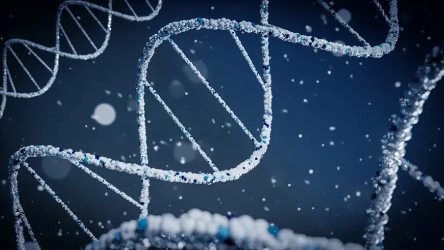 Google DeepMind has developed a novel AI model capable of forecasting the behavior of every biological molecule in existence.