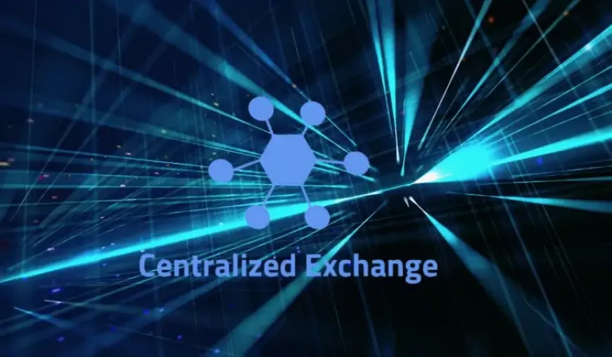 What is a Centralized Cryptocurrency Exchange (CEX)? All you need to know