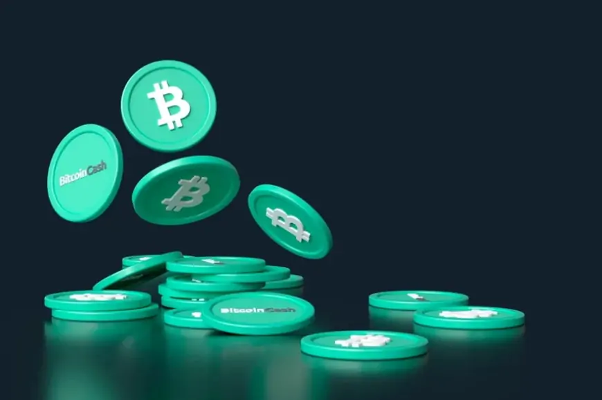 Bitcoin Cash price prediction 2024, 2025, 2030: Insights and forecasts