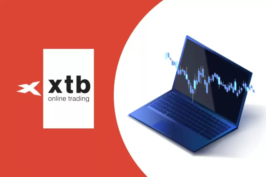 Обзор XTB 2024: Возможности, комиссии и производительность