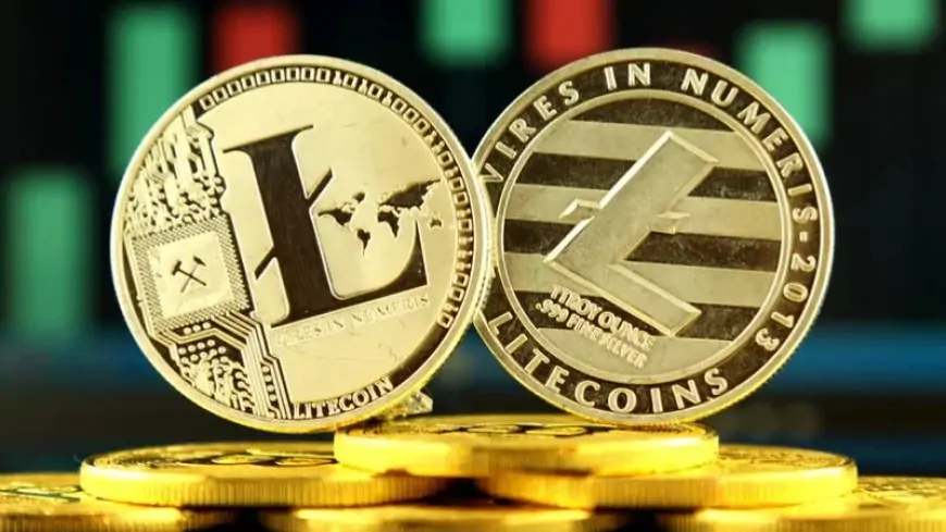 Обзор Litecoin: Все, что вам нужно знать