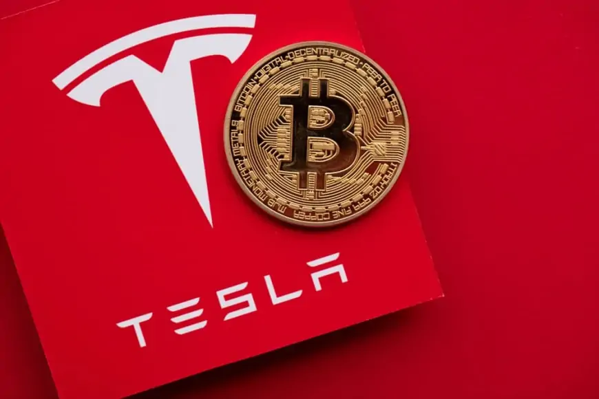 Обзор Tesla Coin: Плюсы, минусы и многое другое