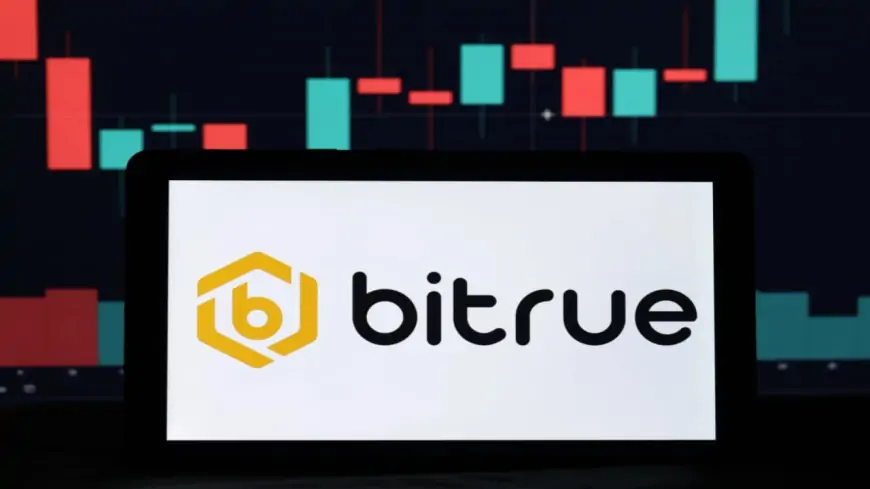 Обзор Bitrue: Объяснение Digimagg