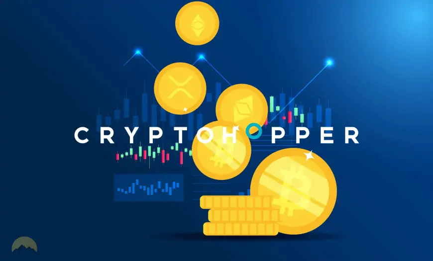 Обзор Cryptohopper 2024: Плюсы, минусы и многое другое