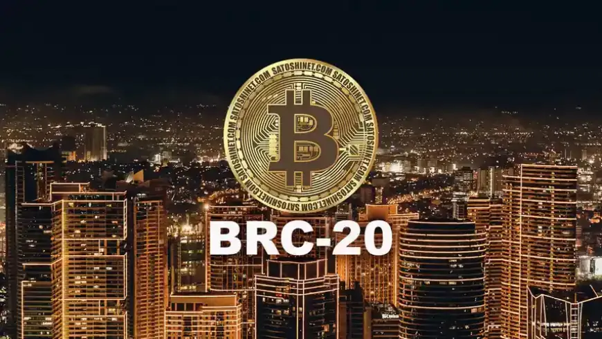 5 лучших токенов BRC-20 для покупки в 2024 году: Обзор Digimagg