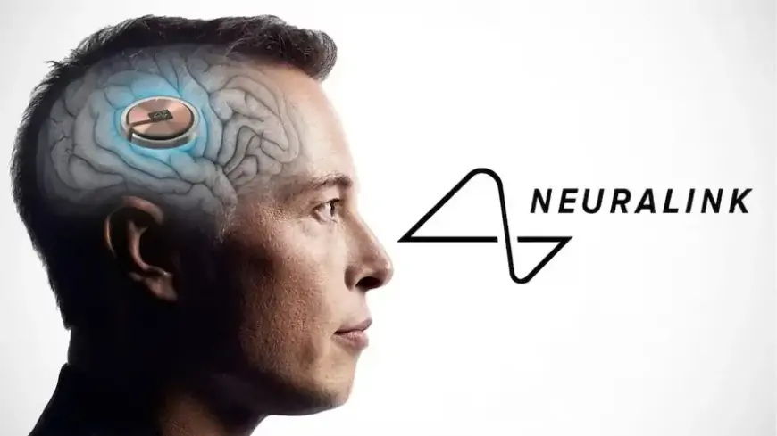 Что такое Neuralink? Все, что нужно знать о первом имплантате мозга