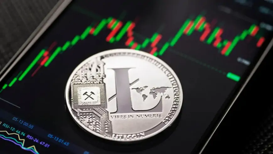 Что такое Litecoin (LTC) и как он работает? Все, что Вам нужно знать