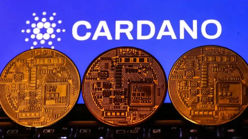 Что такое Cardano? Объяснение криптовалют