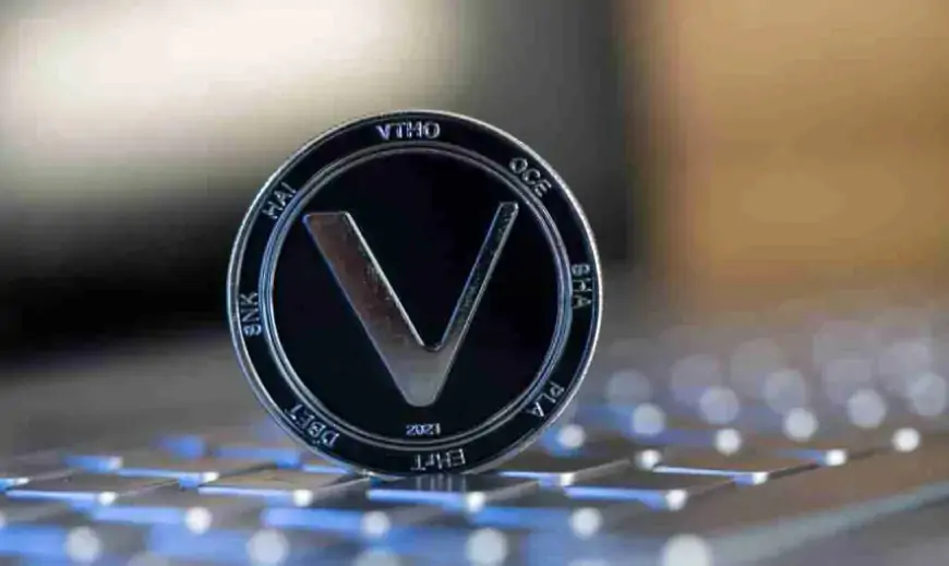 Что такое VeChain (VET) и как работает? Все, что вам нужно знать