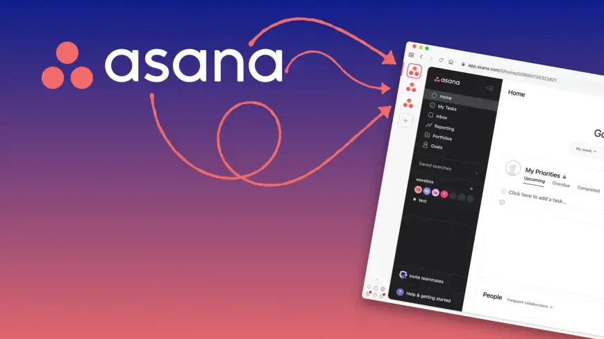 Что такое Asana? Объяснено Digimagg в 2024 году