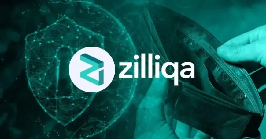 Что такое Zilliqa (ZIL), как работает и почему набирает популярность?