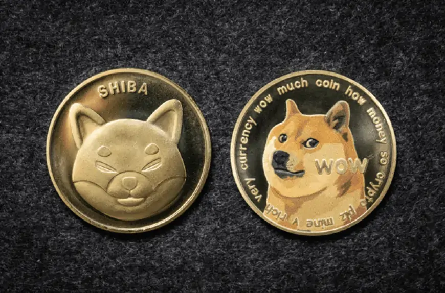 Как купить Dogeverse: Полное руководство в 2024 году