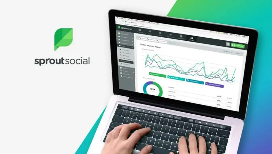 Обзор Sprout Social 2024: Особенности, цены, плюсы и минусы