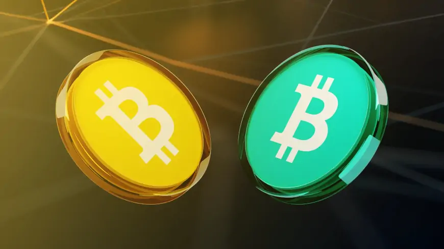 What are the distinctions between Bitcoin and Bitcoin Cash? A comparative analysis