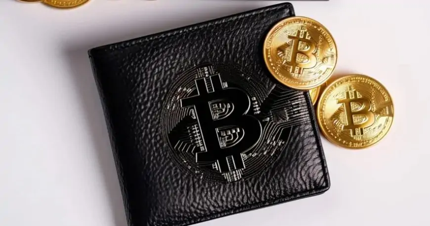 What is a Bitcoin wallet? How to set up