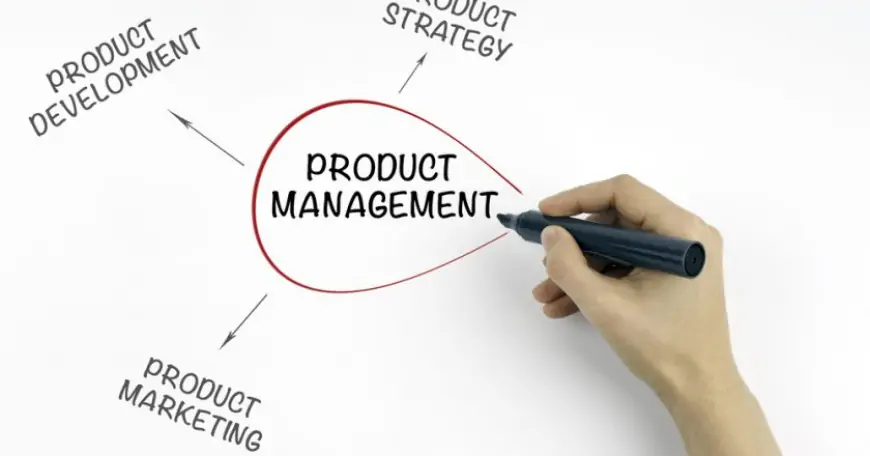 How to become a product manager: How to launch your career as a product manager