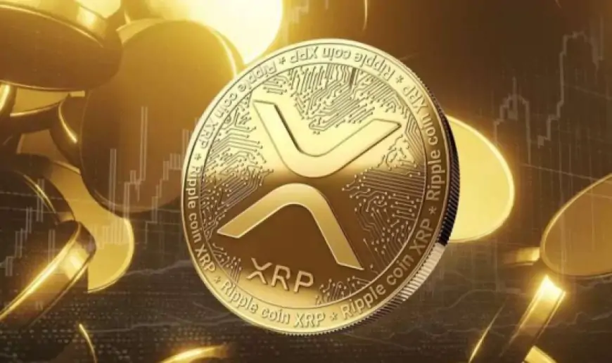 Как купить XRP (Ripple)? Простое руководство для новичков